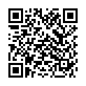 QR BORT ImmoXpress 20° 50cm schwarz