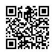 QR TOPPIK Haarfasern black