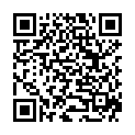 QR SPAGYROS SPAGYR Verbascum thapsiforme