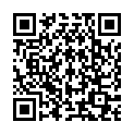 QR TIMASK Einweg-Medizinmaske Typ IIR schotti