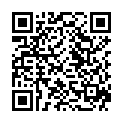 QR DR. METZ Cranberry Muttersaft Bio/kbA