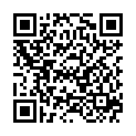 QR DIXA Schnupfnasen Tee Py Btl Box BIO