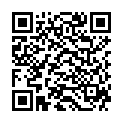 QR HERBA Frisierkamm 17.5cm Terralene