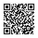 QR TIMASK Einweg-Medizinmaske Typ IIR Leopard