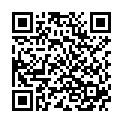 QR BIRKENGOLD Schoko-Kekse Xylit konv