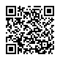 QR ALWAYS Discreet Inkontinenz Long (n)