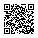 QR ALWAYS Discreet Inkontinenz Long Plus (n)