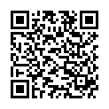 QR NAVINA Catheter Set Regular (n)