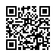 QR BORT Symphysen-Gürtel M silber