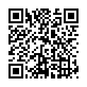 QR BORT Trend AG KKL2 III gesch nor bei Spitze