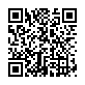 QR BORT Trend AG KKL2 III gesch ku kara Spitze