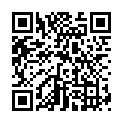 QR BORT Trend AG KKL2 VII gesch w-n bei Spitze