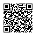 QR BORT 100 AG KKL2 II offen kurz schw Nopp