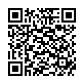 QR BORT 100 AG KKL2 I geschl norm schw Nopp