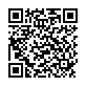 QR BORT 100 AG KKL2 IV geschl norm schw Nopp