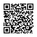 QR BORT 100 AG KKL2 VI geschl norm schw Nopp