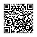 QR MIKROZID universal wipes greenline maxi SP