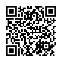 QR XILITO Birkenrindenextr Plv wild