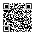 QR NATURKRAFTWERKE Haferdrink Plv B12 Bio