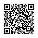 QR AROMALIFE Räucherwerk Juniperbündel